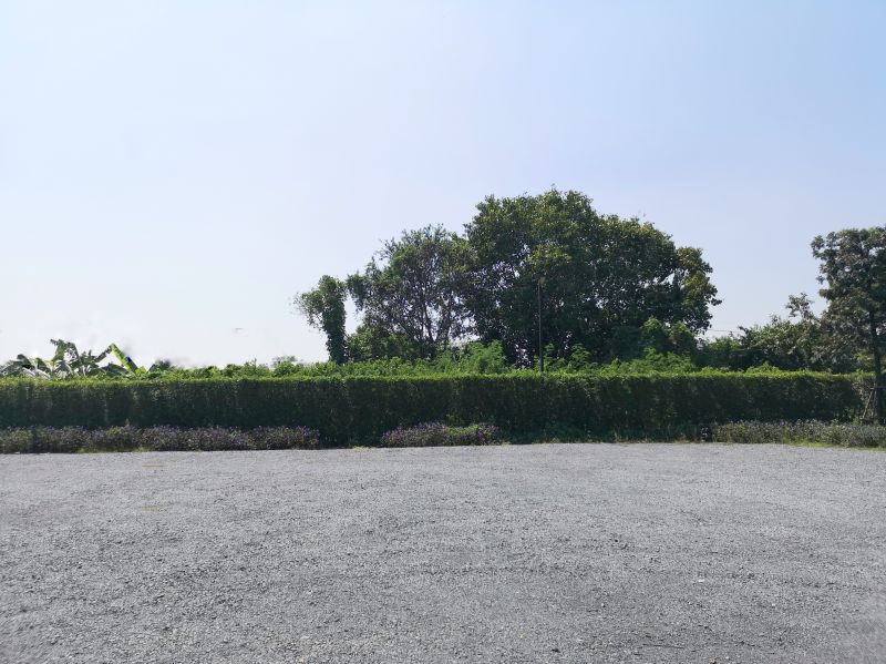 Site Conditions